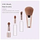 brush